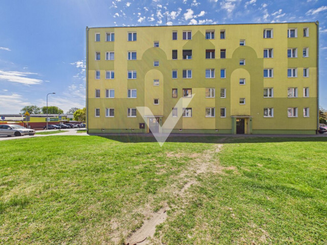 Mieszkanie Sprzedaż Trzemeszno 11