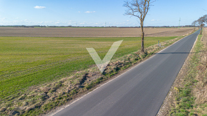 Działka Sprzedaż Więzowno 5